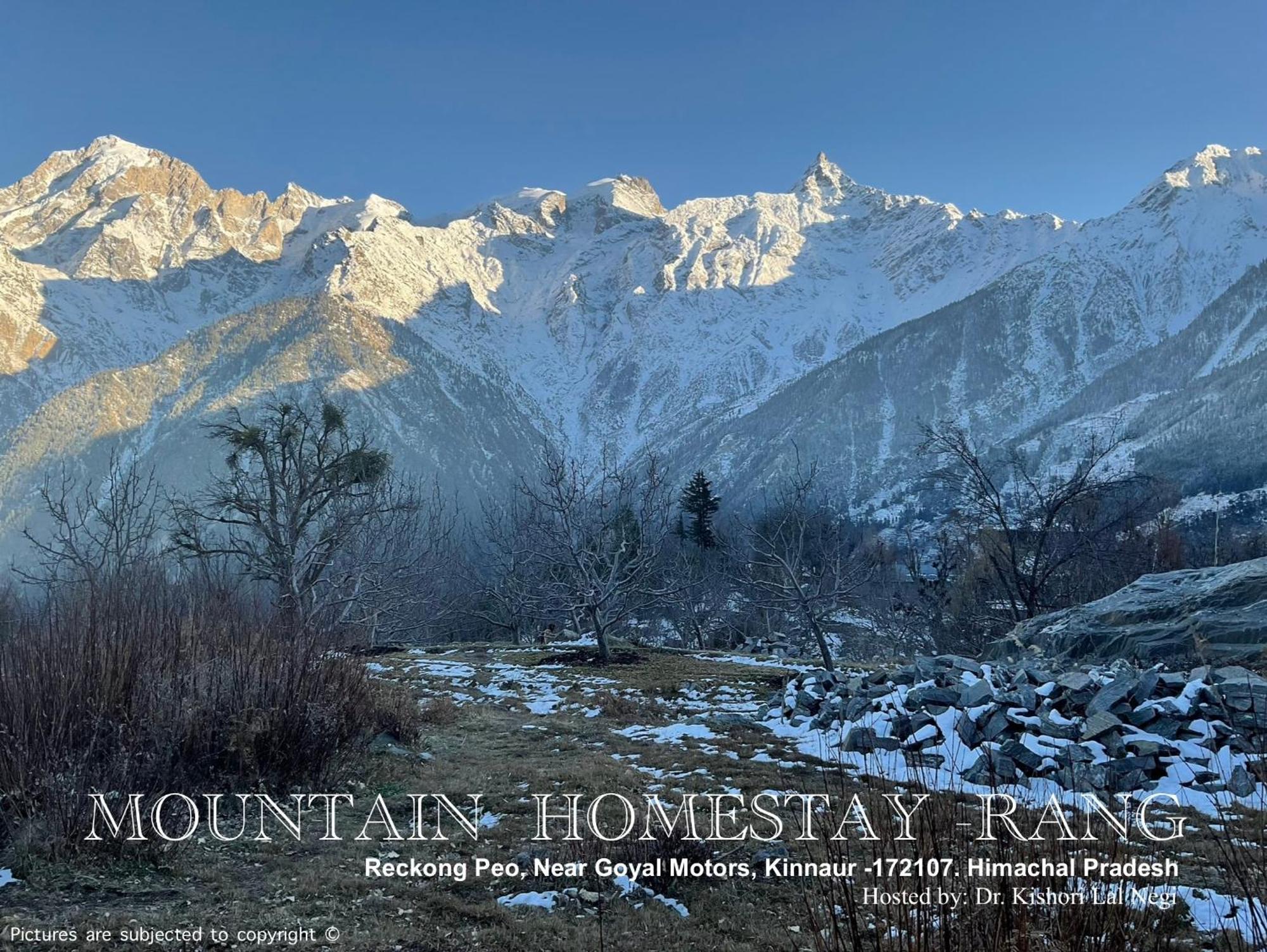 Mountain Home Stay -Rang, At Reckong Peo - Kalpa, Near Goyal Motors, Way To Petrol Pump At Itbp Quarters Exterior foto